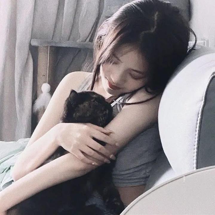 米老鼠之猎犬海报